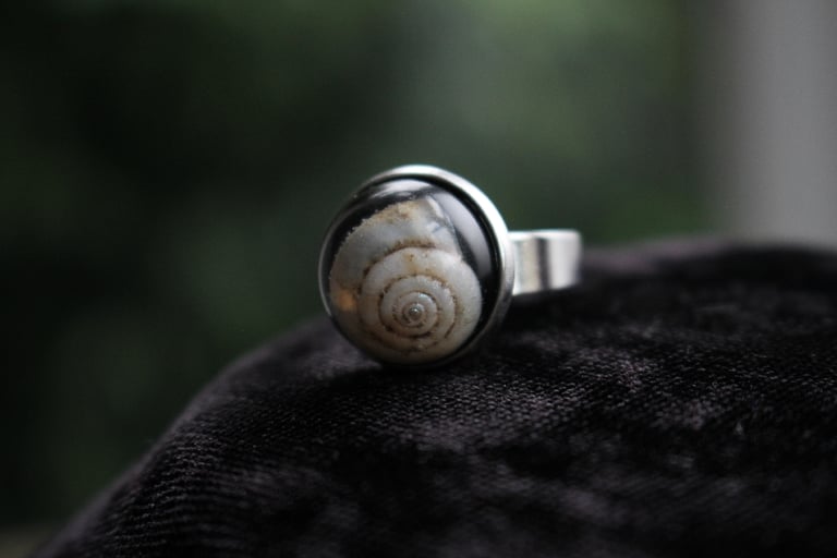 Dead Good snail shell ring Image 2