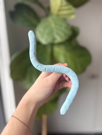 Image 4 of Giant Sour Worm