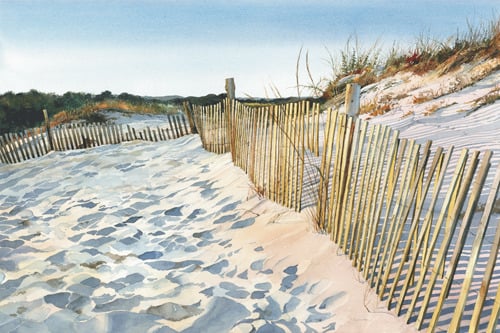 Image of Dune Fence