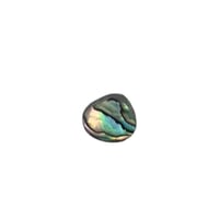 Image 1 of Abalone option 16
