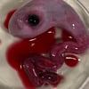 Rat Fetus Sculpture 
