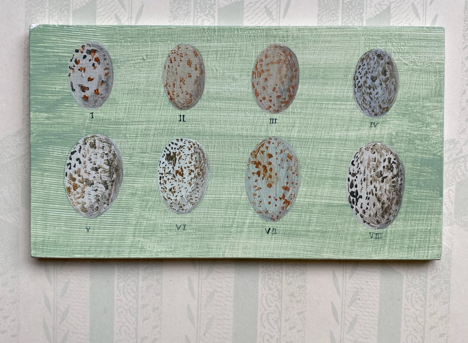 Image of Eight bird eggs (C)