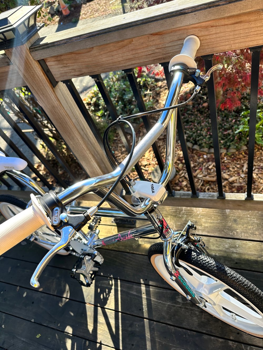 1988 Mongoose Decade