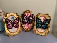 Image 1 of butterfly 
