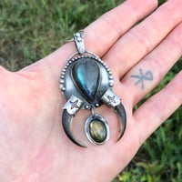 Image 5 of Labradorite and porcupine claw