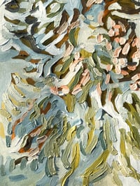 Image 3 of flowering gum ||