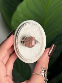 Image 1 of LAGUNA LACE AGATE RING H .925 SS SIZE 10