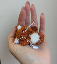 Image 2 of Gumdrop the micro mini gingerbread kitten. 