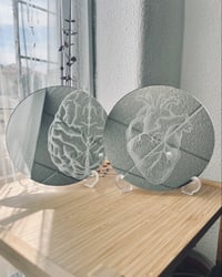 Image 1 of brain vs heart mini-collection 20cm round mirrors 