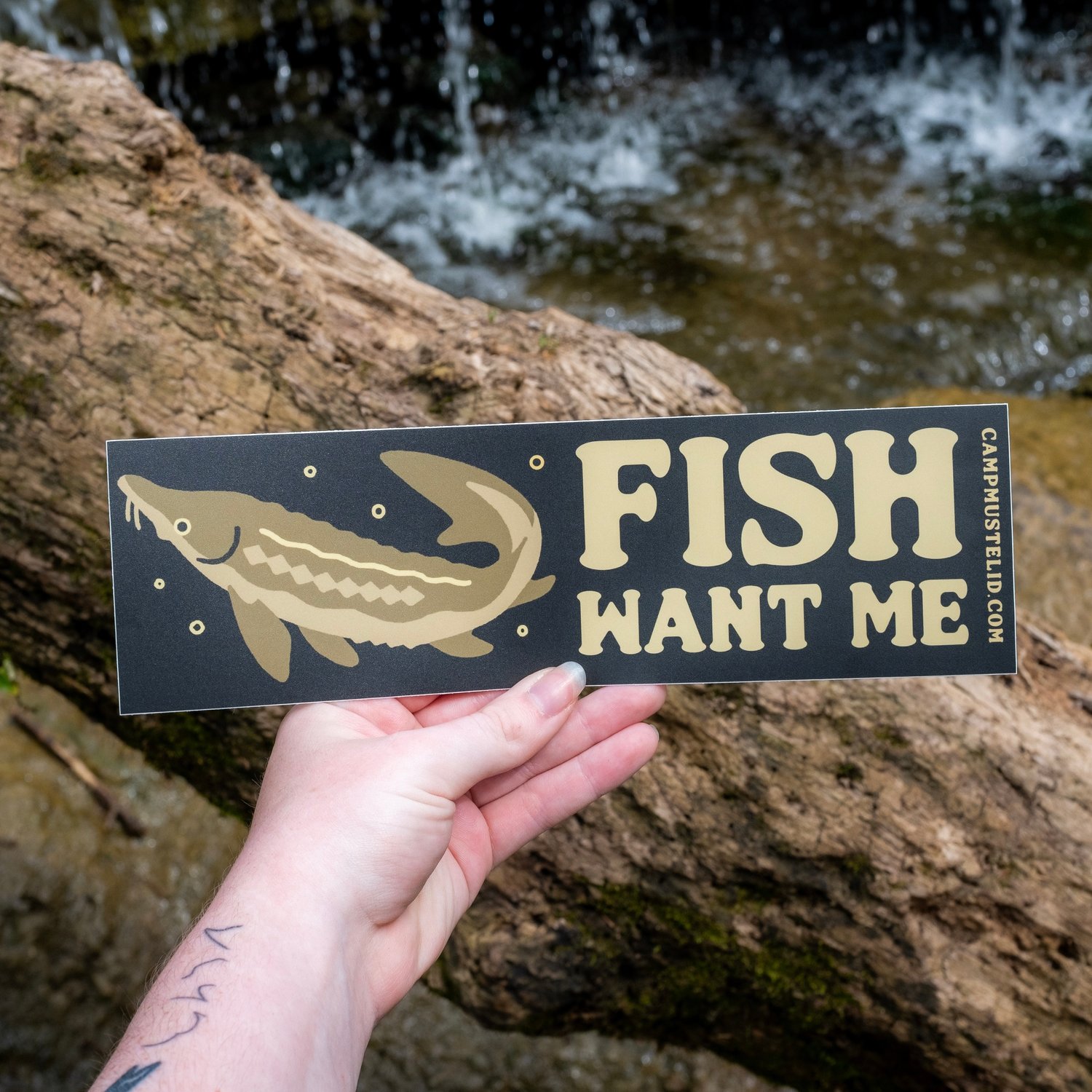 STURGEON "Fish Want Me" Bumper Sticker