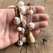 Image of Hawaiian puka shell wrap necklace