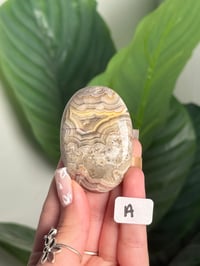 Image 2 of MEXICAN LACE AGATE PALM STONES