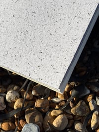 Image 1 of Seaweed Sketchbook 