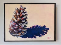 Image 1 of Loblolly Pine Cone #1
