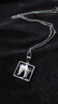 Image 3 of Fox tooth square necklace