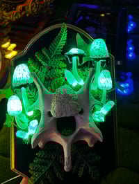 Image 2 of Cow vertebrae inky cap LED