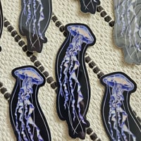 Image 2 of Jellyfish