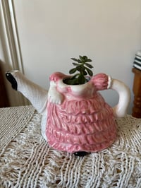 Image 1 of Melaco Echeveria in Dancing Lady Pitcher