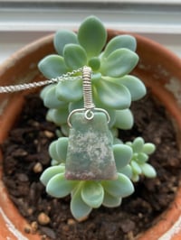 Image 1 of Echeveria