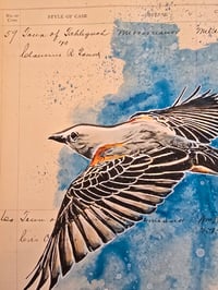 Image 2 of ORIGINAL I.T. ledger ScissorTail 