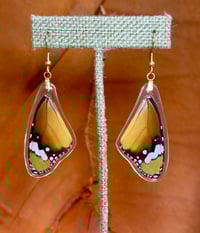 Image 1 of African Monarch Forewings