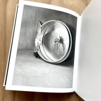 Image 2 of Paul Guilmoth - At Night Gardens Grow