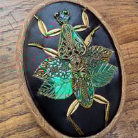 Image 1 of Mantis  (a, 4x5 inches)