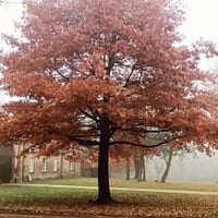 Image 11 of Art Retreat at Renishaw Hall