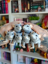 Image 1 of Rata gris claro 