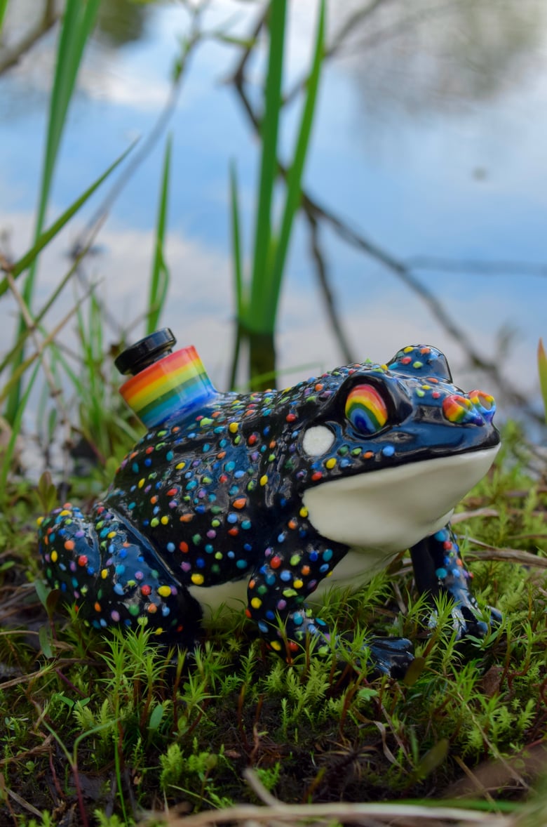 Image of Onyx Rainbow Frog
