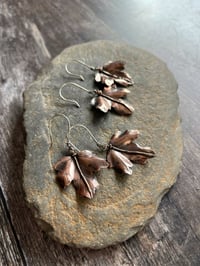 Image 2 of Autumn Leaf Earrings ~ Field Maple