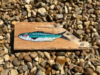 Image 2 of Mackerel on Wood