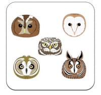 Image 2 of Collectors Set - No.1-5 - Owls of Britain Series