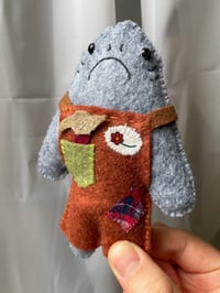 Image 1 of Gala the Greenland Archeologist Shark