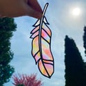 Fremont Feather #1