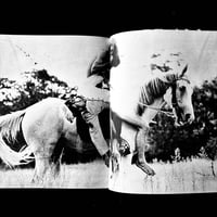 Image 9 of Le Sang et la Rose #1