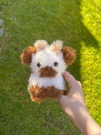 Image 3 of Baby Chocolate Cow