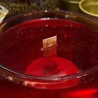 Image 5 of tomato vine scented candle