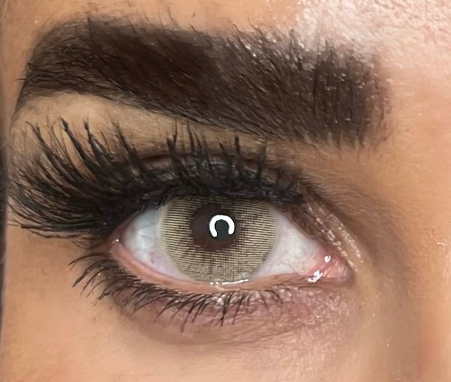 FreshTone Super Naturals Hazelnut