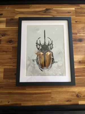 Image of Beetle (5 Horned Rhinoceros)