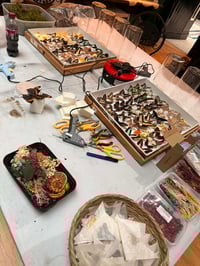 Image 3 of Make your own Terrarium Workshop Thurs 25th June 5.30-9.30pm