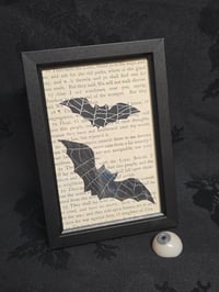 Image 1 of 1800’s biblical BATS with preserved spider web - black framed -1