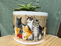 Image 4 of Soap Aloe in Cute Cat Bowl