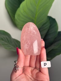 Image 4 of CHOOSE YOUR OWN STAR ROSE QUARTZ FREEFORMS -MADAGASCAR-