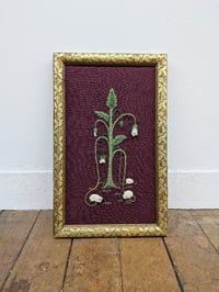Image 1 of Vegetable Lamb of Tartary