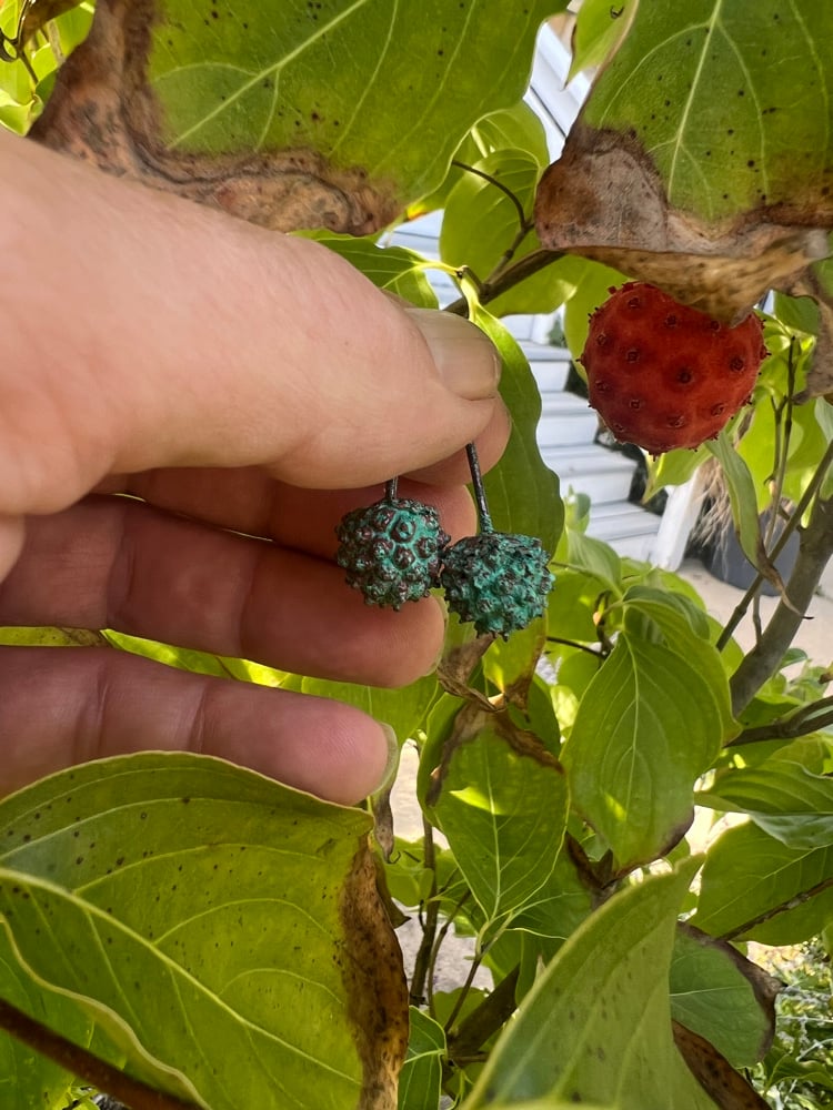 Image of Dogwood berrie earrings 