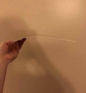 Image of Leonardo Movie Sketch