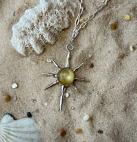 Image 2 of Sunburst 