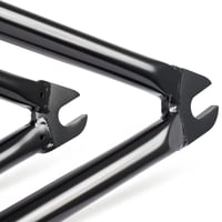 Image 6 of Bone Deth Crime Frame