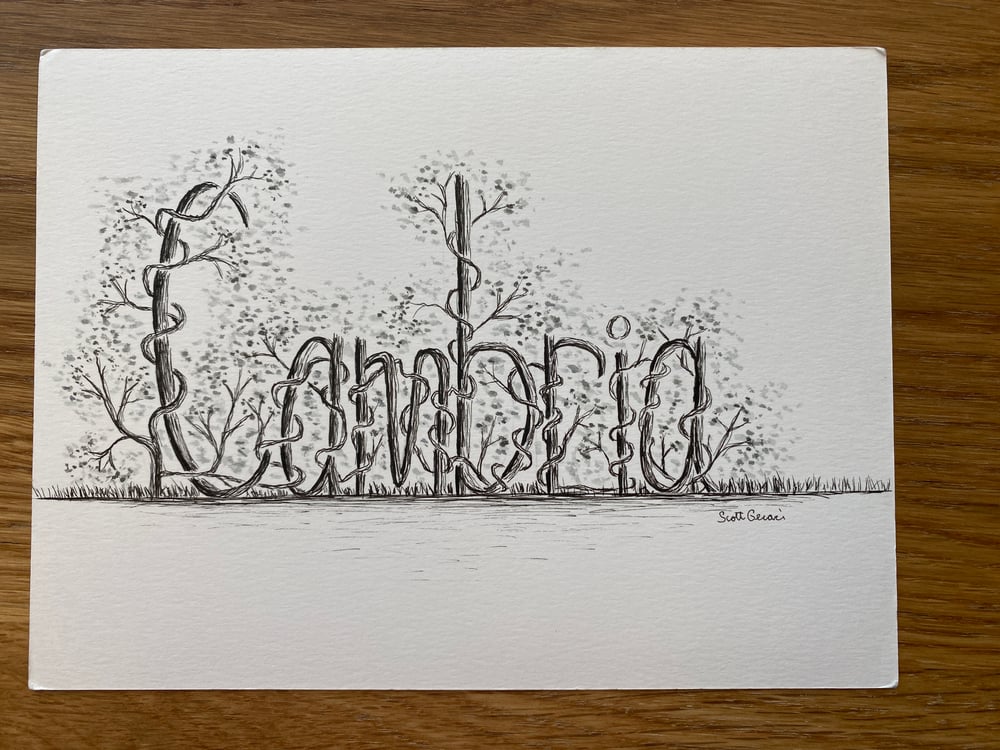 Image of Custom Illustrated  Name with Vines (black ink)